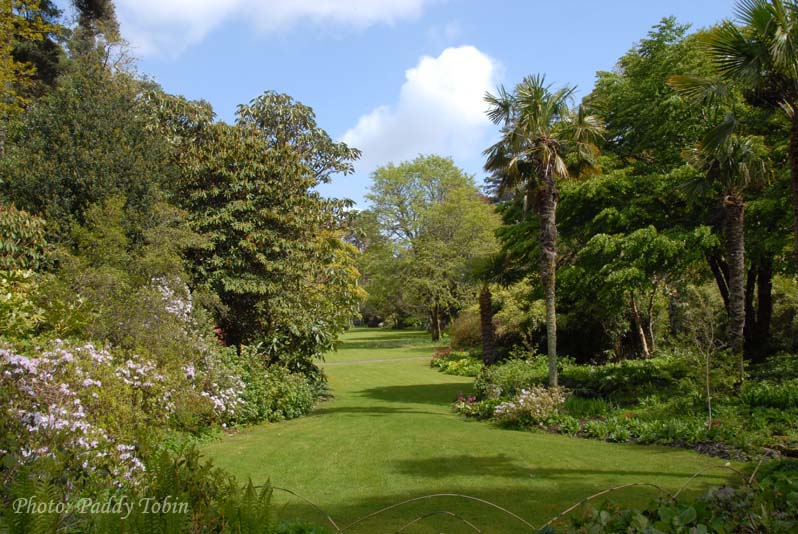 The Pleasure Garden at Glenveagh
