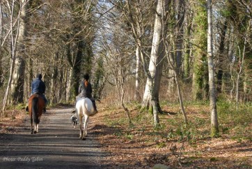 The park has facilities for horse riding and cycling among other activities.