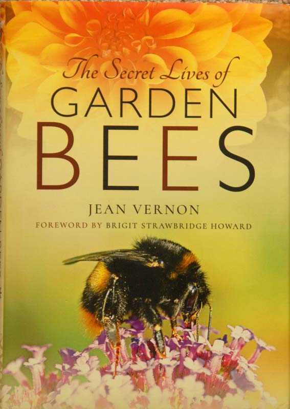 Garden Bees, Jean Vernon (1)